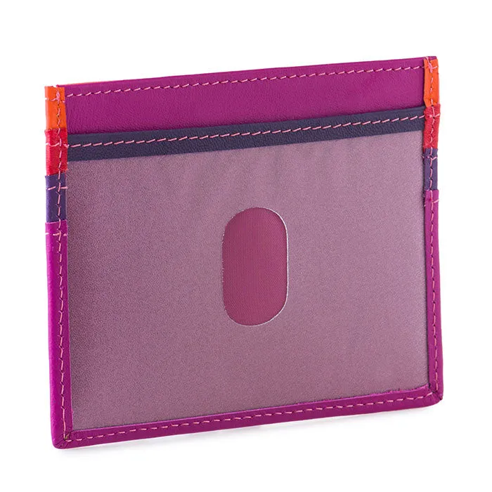 Credit Card Holder