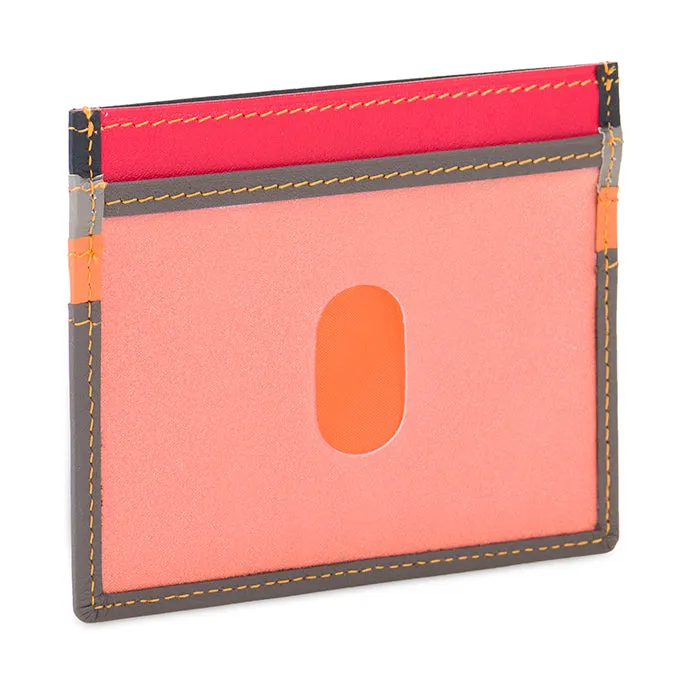 Credit Card Holder